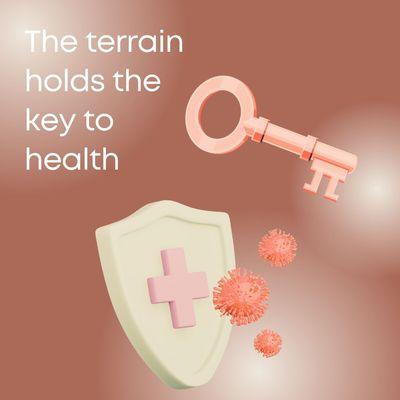 The terrain is the inner environment - a vital aspect of maintaining health.