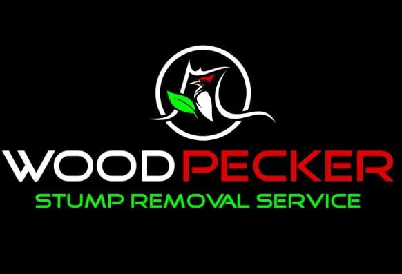 Woodpecker Stump Removal Service