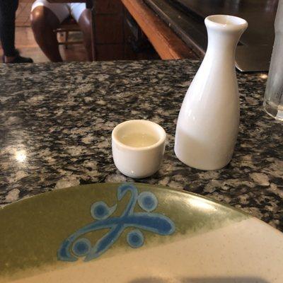 Warm sake was excellent!