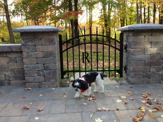 Keep your puppy safe with a fence from R&T Fence. Our black aluminum fencing is maintenance free & has a lifetime warranty too!