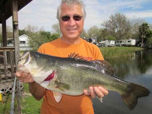 Visit beautiful Lake Tarpon and catch the largemouth bass fever! 419 346 8006