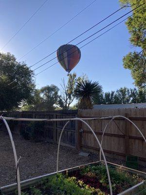 Another balloon in the background of raised garden beds