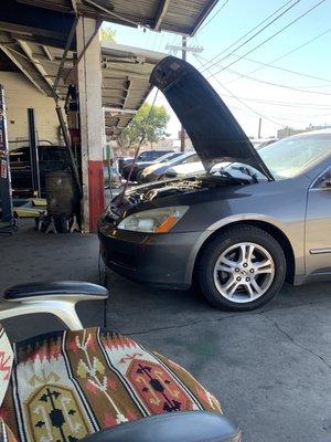 Fixed Purge Valve on Honda Accord