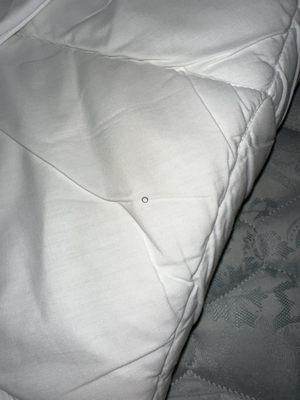 Hair under fitted sheet on mattress cover