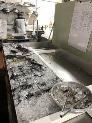 Fish selection from pompano to catfish mackerel and more. Chef seen in back cleaning fish for the fryer.