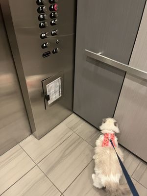 she doesn't know anything about booking an elevator on buildinglink. she thinks it's easy probably