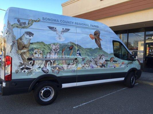 Sonoma County Regional Parks, Santa Rosa - vehicle wrap