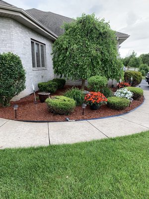 New red cedar mulch installed