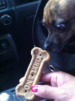 Michael, the manager, gave a doggie treat to our patiently waiting pup!