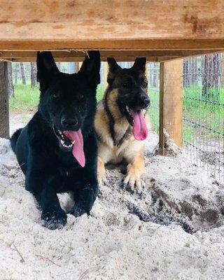 Finley and his friend Beau at camp