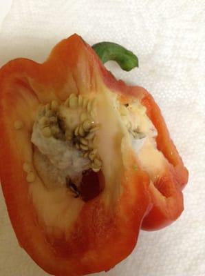 Mold in the red bell pepper I bought at Mi Pieblo