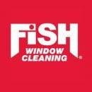 Fish Window Cleaning