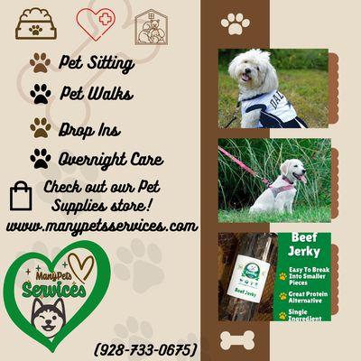 ManyPets Services Pet Sitting Flyer with treats, harness, and Dallas Cheer pet outfit pics and Manypets Services Logo and Contact info.