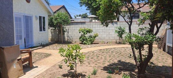 In the process of growing edible garden oasis