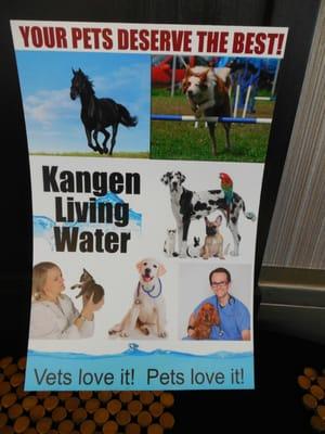 Kangen Water Seattle