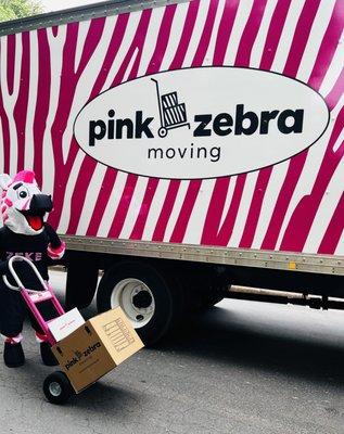 Zeke loves moving! Book your move today!