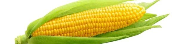 Corn