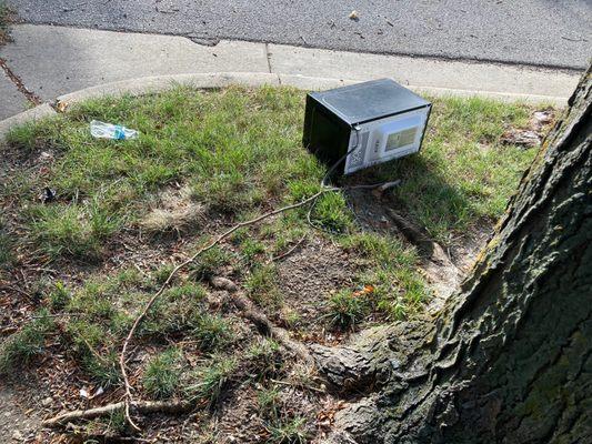 Trashy areas no maintenance clean up on property