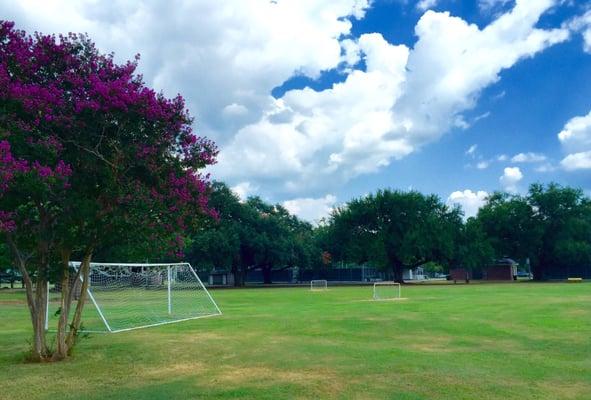 soccer goals