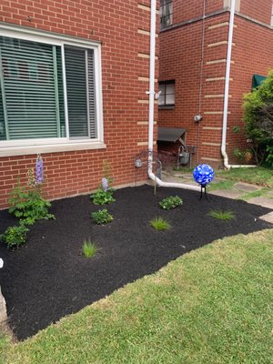 New install mulch and plants