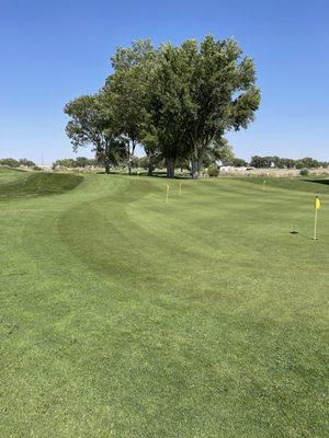 Putting green