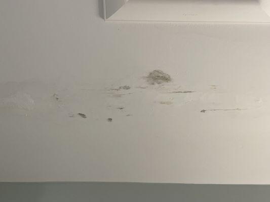 Mold in bathroom ceiling from leak.