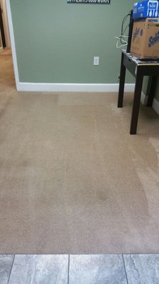 Carpet Cleaning