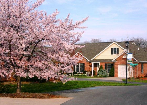 Cottage in spring