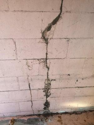 A subterrainian termite mud tube going up a wall In the city of El Monte ca.