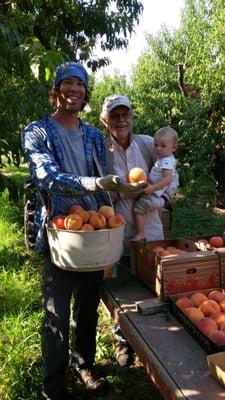 Edwards Family Farm