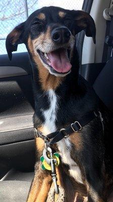 Our Happy Copper!