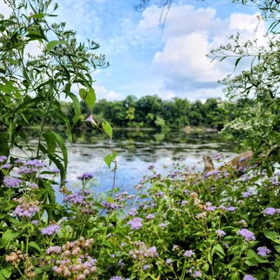 Potomac River