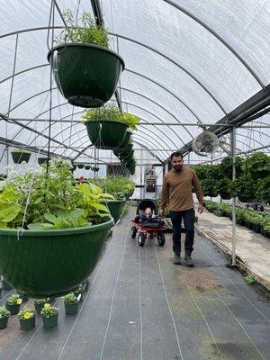 Ladybug Greenhouses