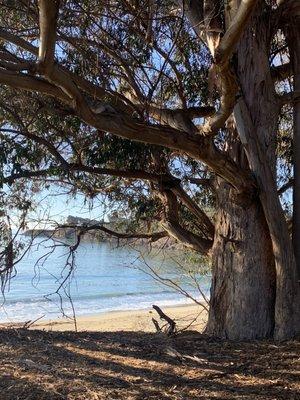 Hiking Trails at San Simeon Bay