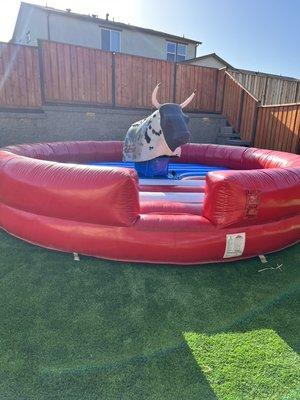 Bull with red inflatable