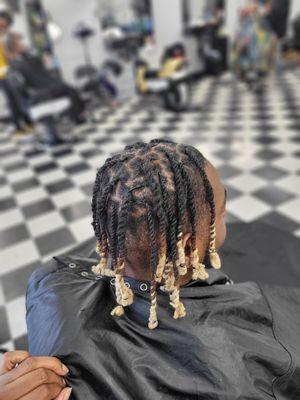 2strand Twist