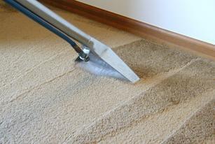 Carpet Cleaning