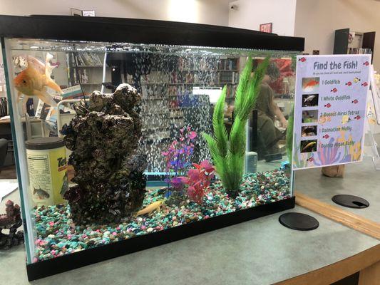 Library fish tank