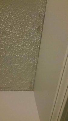 "They did a great job at painting" - Glenda   Yeah, that's why they painted all over my ceiling.