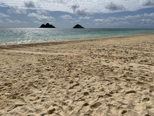 Lanikai Beach Rentals