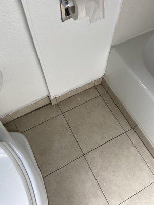 Filthy bathroom floors