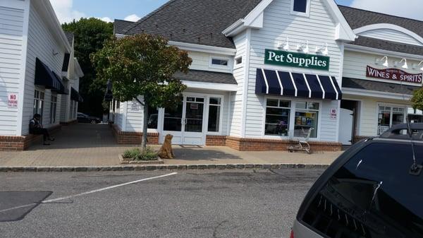 Hampton Bays Pet Supply