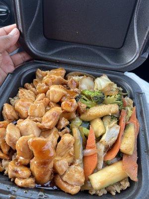 Teriyaki Chicken