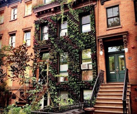 The first living wall facade for a town house in the US.