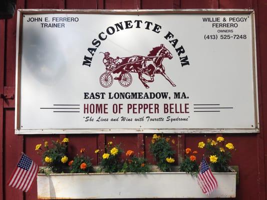 Masconette Farm, E. Longmeadow, MA facilitates horse boarding with trail riding and carriage driving opportunities for boarders.