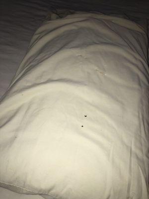 Ripped pillow in multiple spots and stains