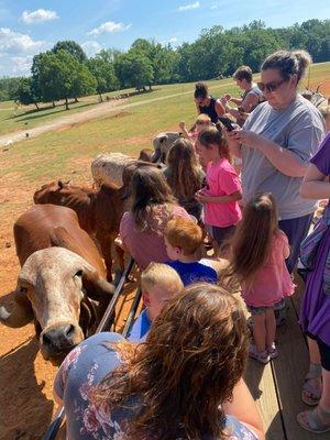 Fun at the farm!