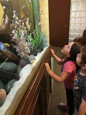 Kids love watching the fish at Sunny Hills Pediatric Orthodontic and Dentistry