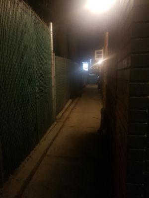 The alley walk from Philip's Plaza in Lynbrook to Fibber McGee's isn't as dismal as this pic captured.