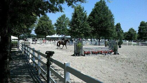 Horse Stables